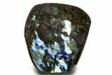 Flashy, Free-Standing Polished Labradorite - Madagascar #325211-1